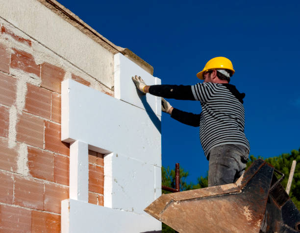 Best Home Insulation Services  in Palo, IA