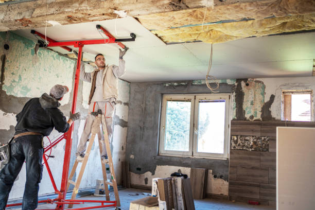 Best Professional Insulation Contractor  in Palo, IA