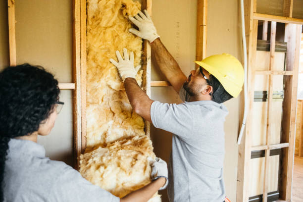 Best Soundproof Insulation Installation  in Palo, IA