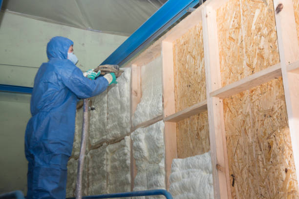 Best Commercial Insulation Contractor  in Palo, IA