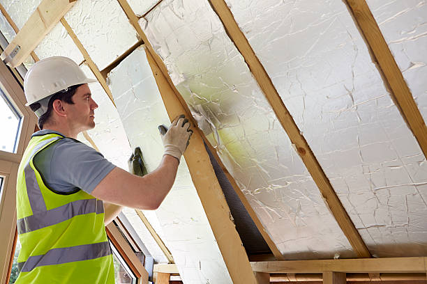 Best Wall Insulation Contractor  in Palo, IA