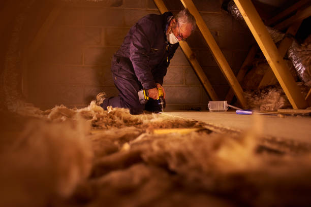 Best Spray Foam Insulation  in Palo, IA
